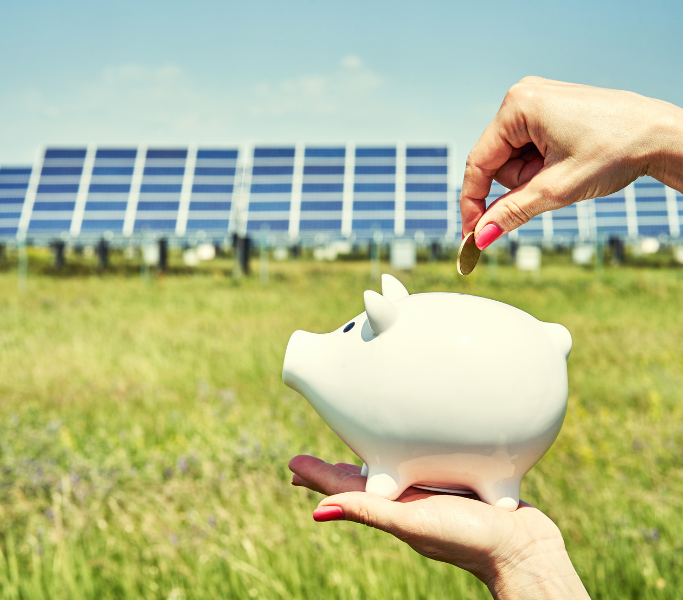 piggy bank in front of solar array on lawn